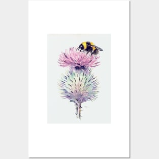 Bumblebee on a Scottish Thistle Posters and Art